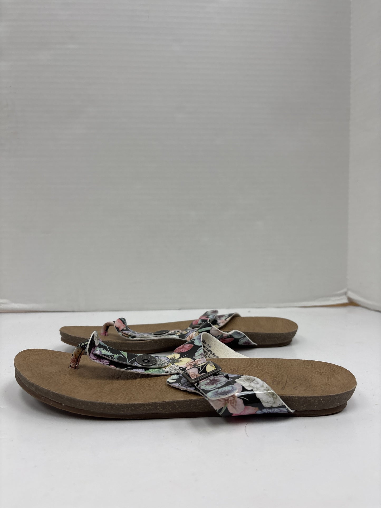 Sandals Flip Flops By Blowfish Size: 8.5