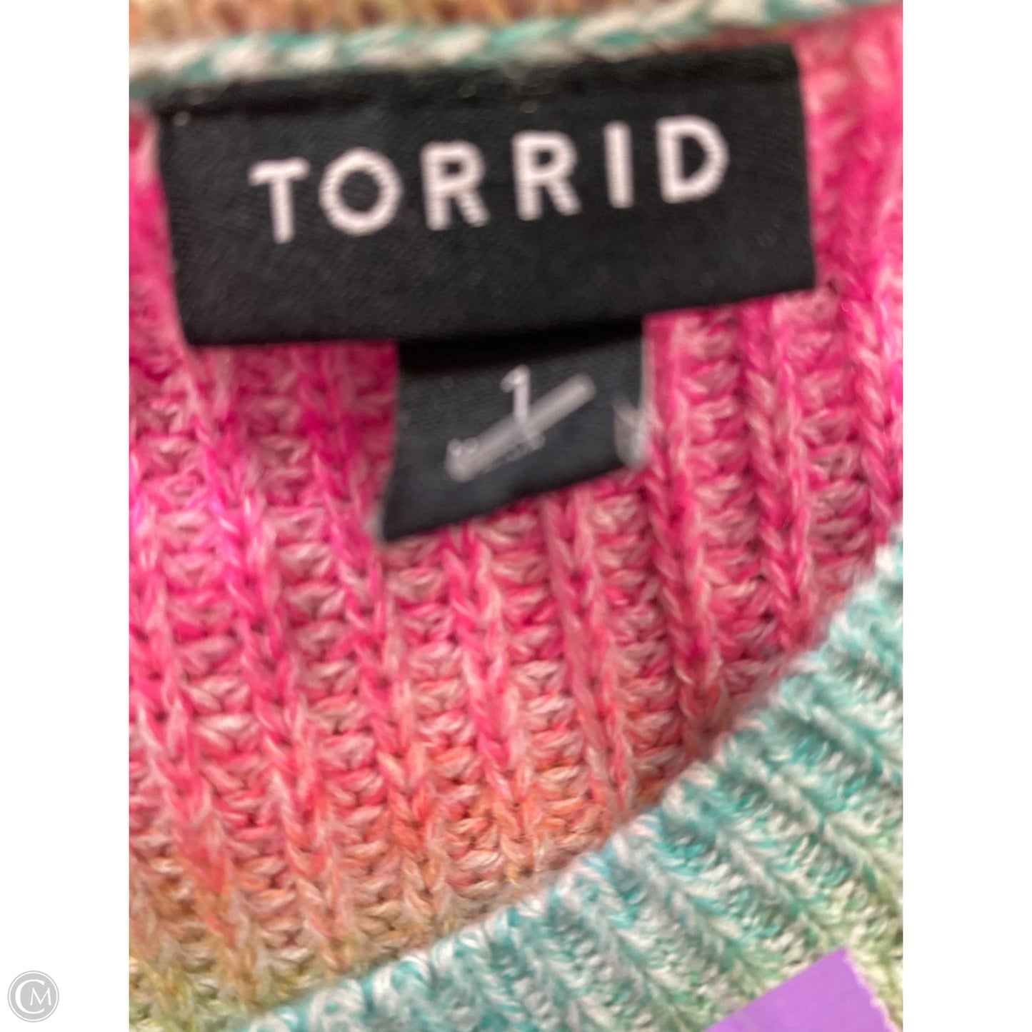 Sweater By Torrid In Multi-colored, Size: 1x