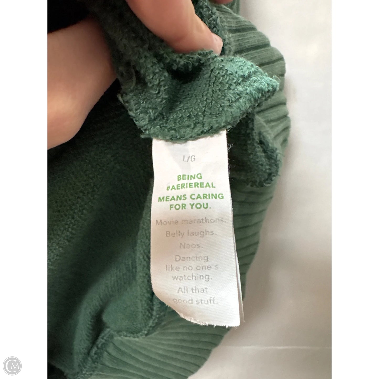 Sweatshirt Hoodie By Aerie In Green, Size: L