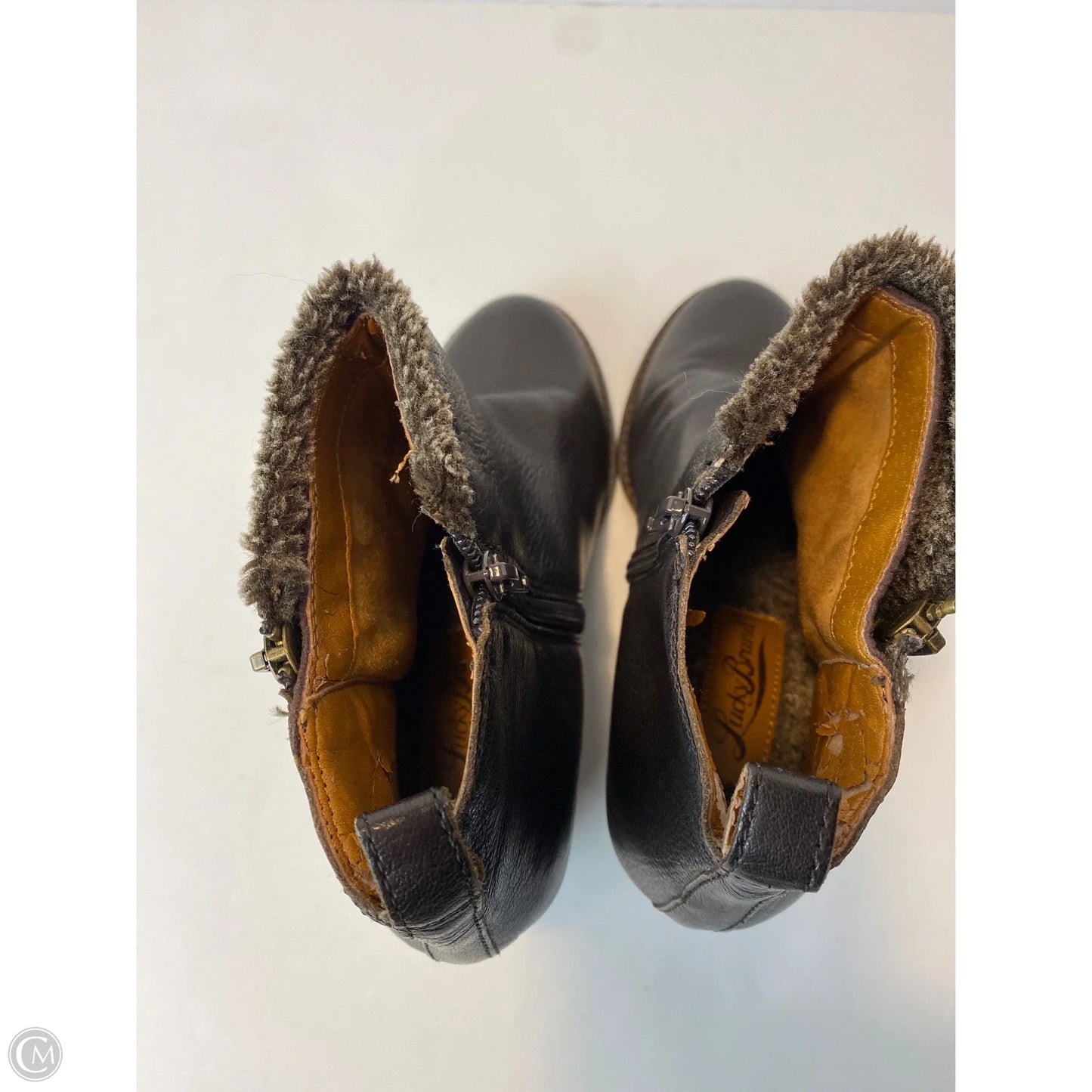 Boots Ankle Heels By Lucky Brand In Brown, Size: 9