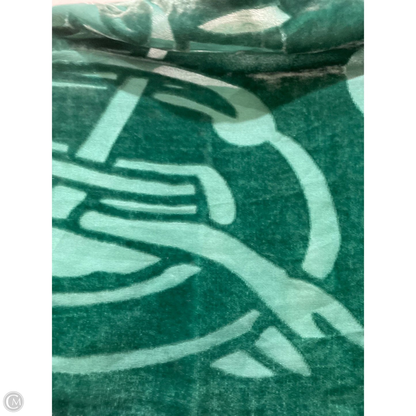 Scarf Long By Clothes Mentor