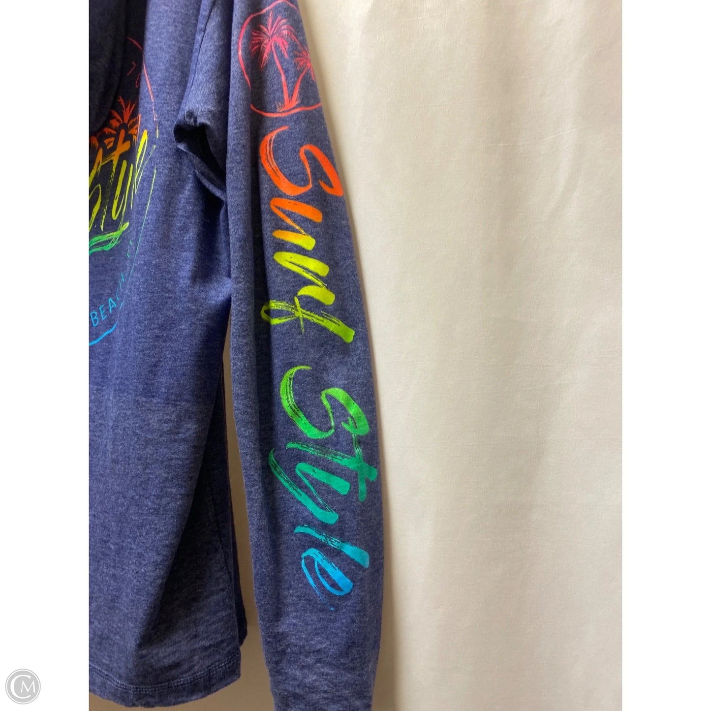 Sweatshirt Hoodie By Clothes Mentor In Purple, Size: L