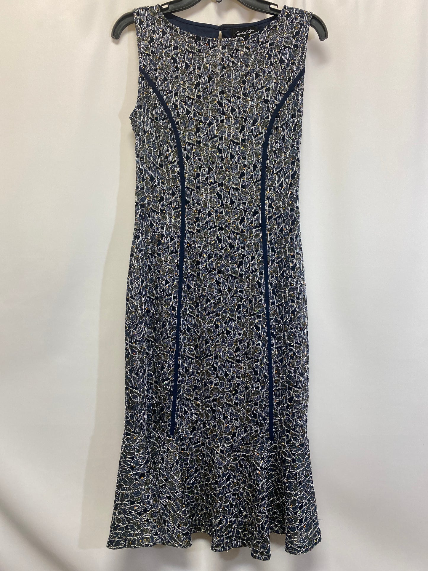 Navy Dress Casual Midi Clothes Mentor, Size S