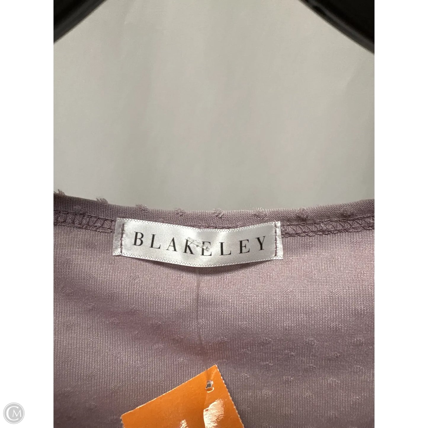 Top Short Sleeve By Clothes Mentor In Purple, Size: Xl