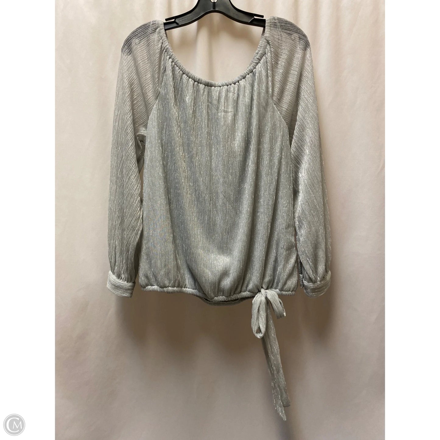 Top Long Sleeve By Cece In Silver, Size: L