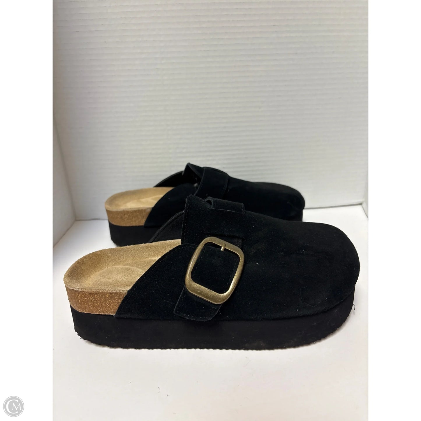 Shoes Flats By Cushionaire In Black, Size: 8.5