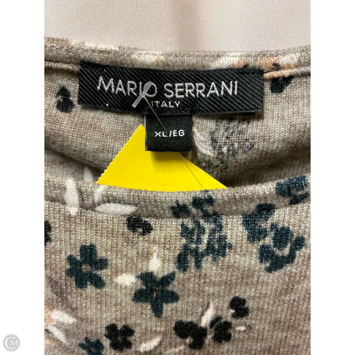 Top Long Sleeve By Mario Serrani In Taupe, Size: Xl