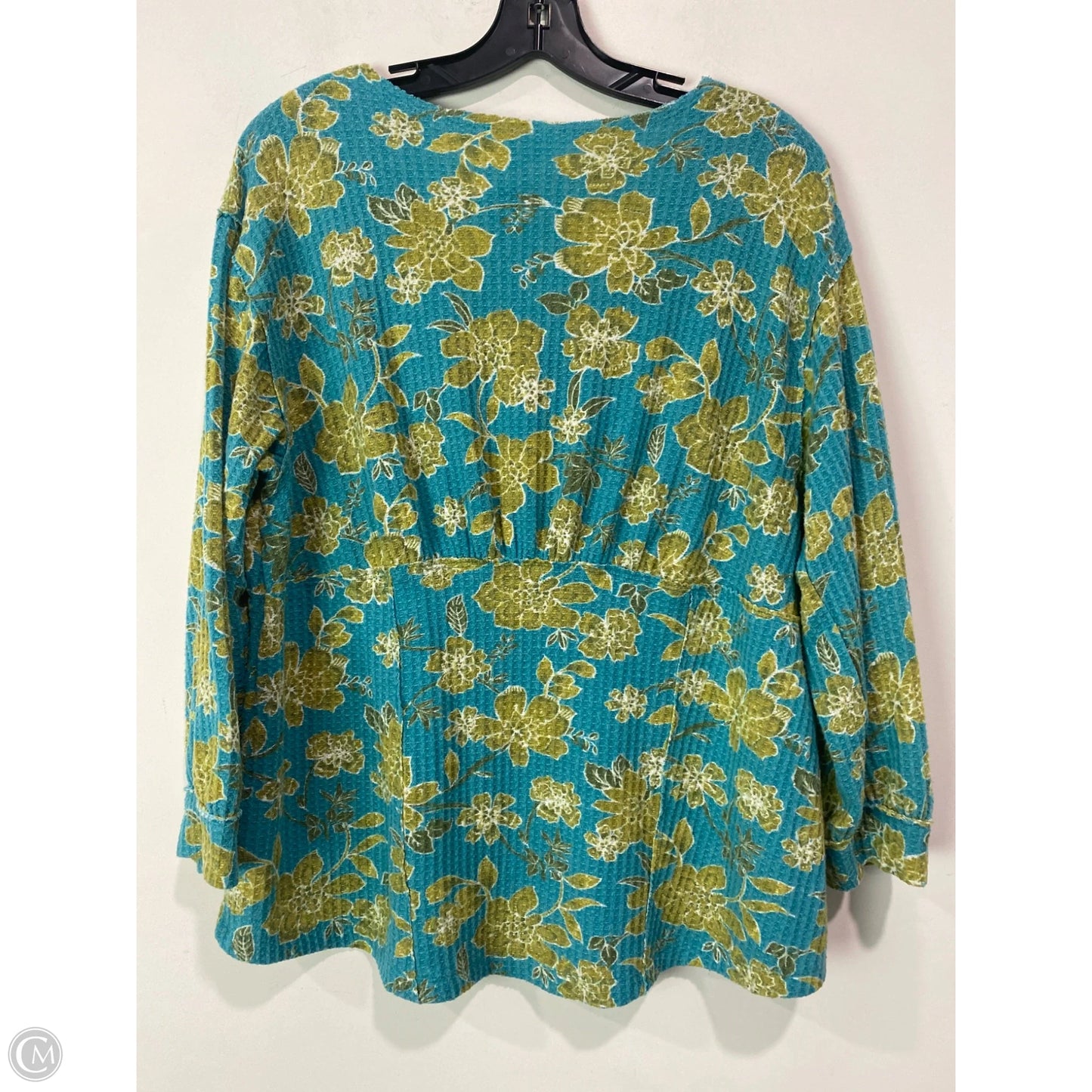 Top Long Sleeve By Cato In Aqua, Size: Xl