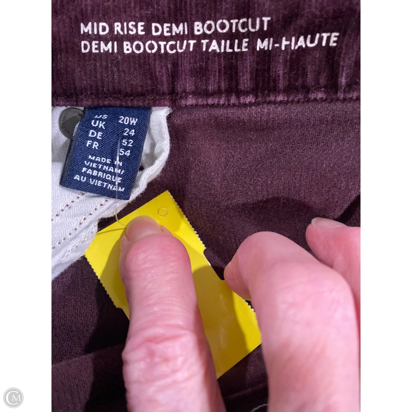 Pants Other By Lands End In Purple, Size: 20