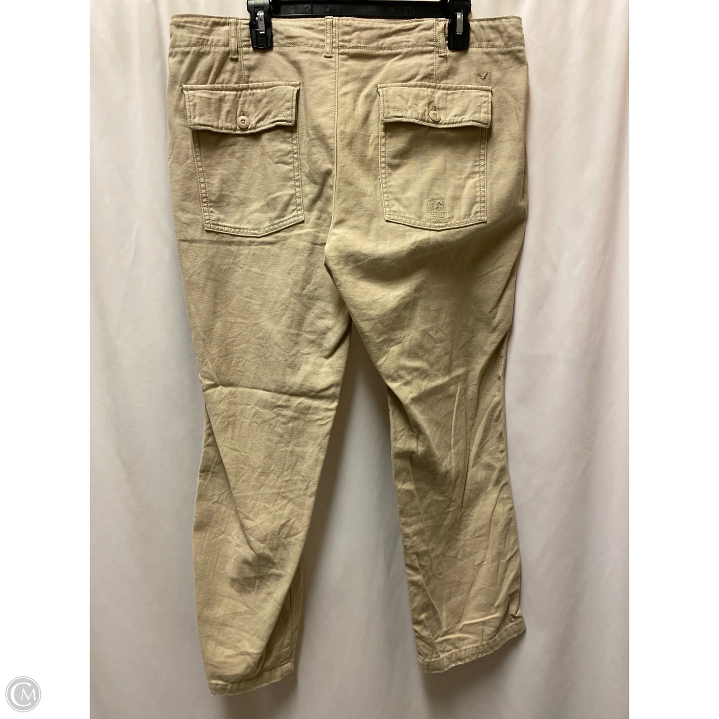 Pants Chinos & Khakis By American Eagle In Tan, Size: 14