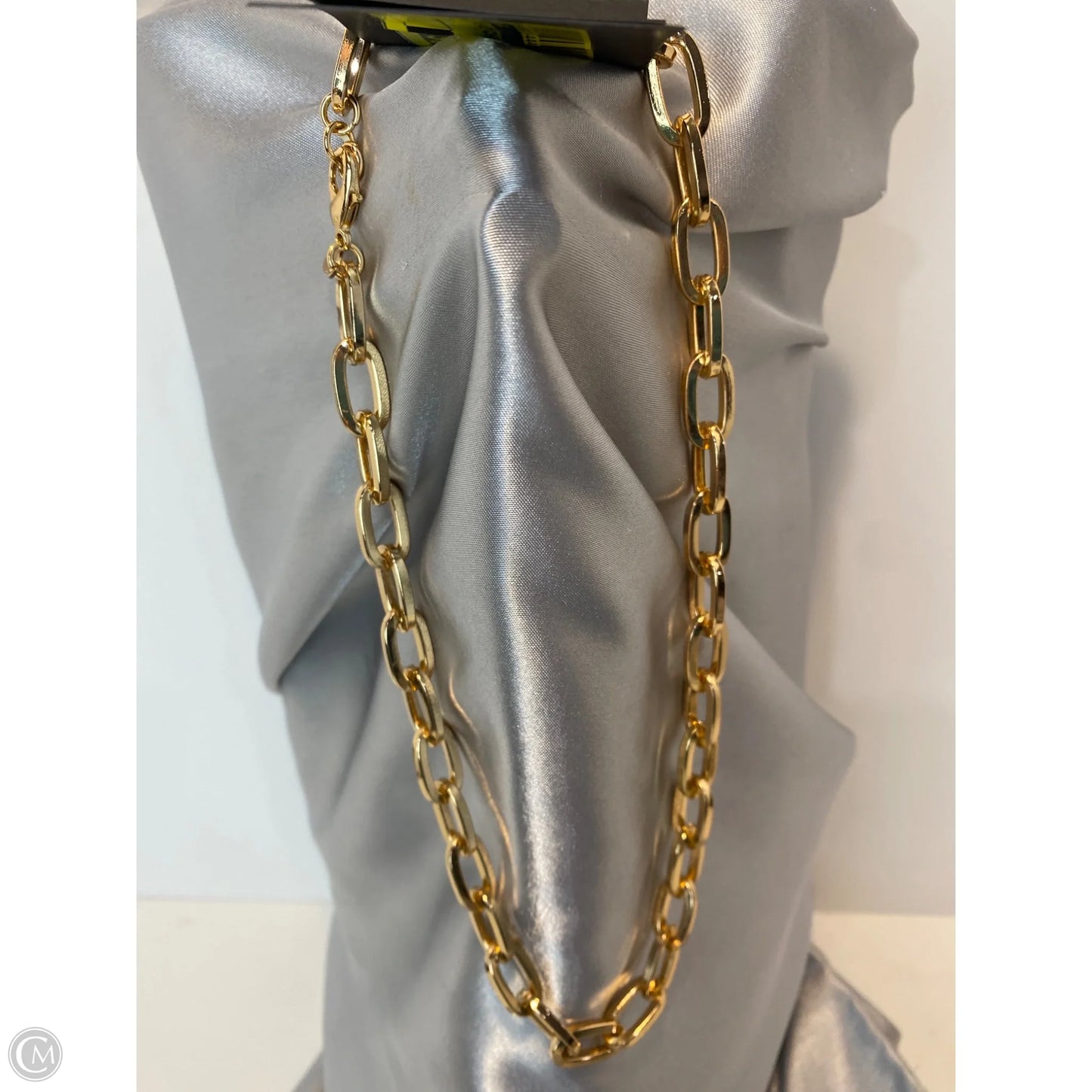 Necklace Chain By Aldo