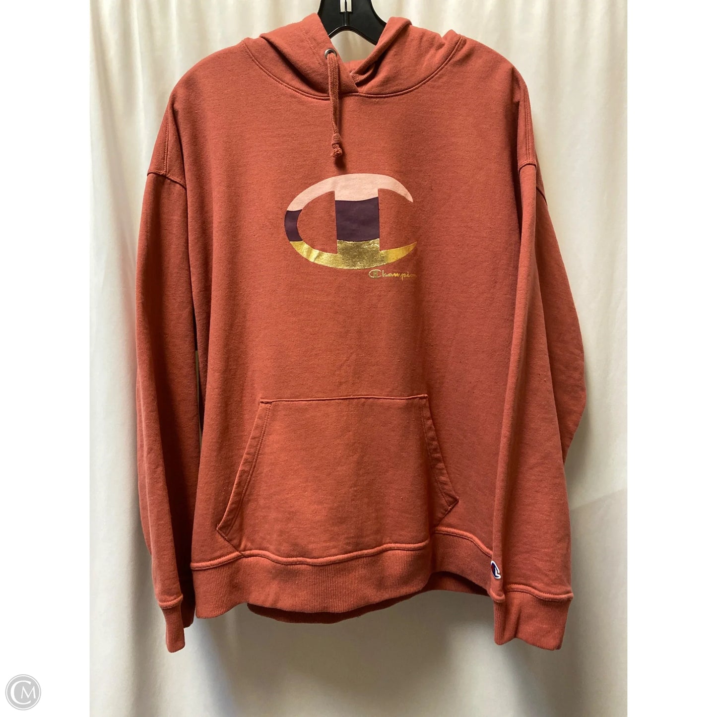 Sweatshirt Hoodie By Champion In Mauve, Size: 2x