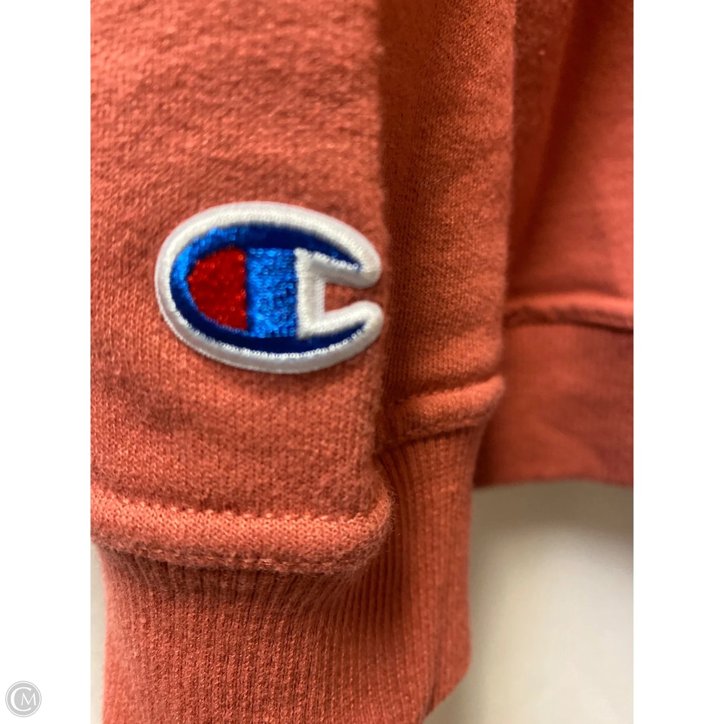 Sweatshirt Hoodie By Champion In Mauve, Size: 2x