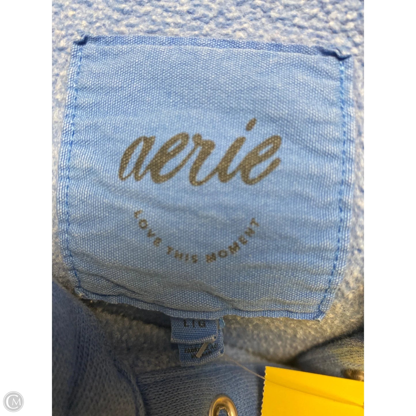Athletic Sweatshirt Crewneck By Aerie In Blue, Size: L