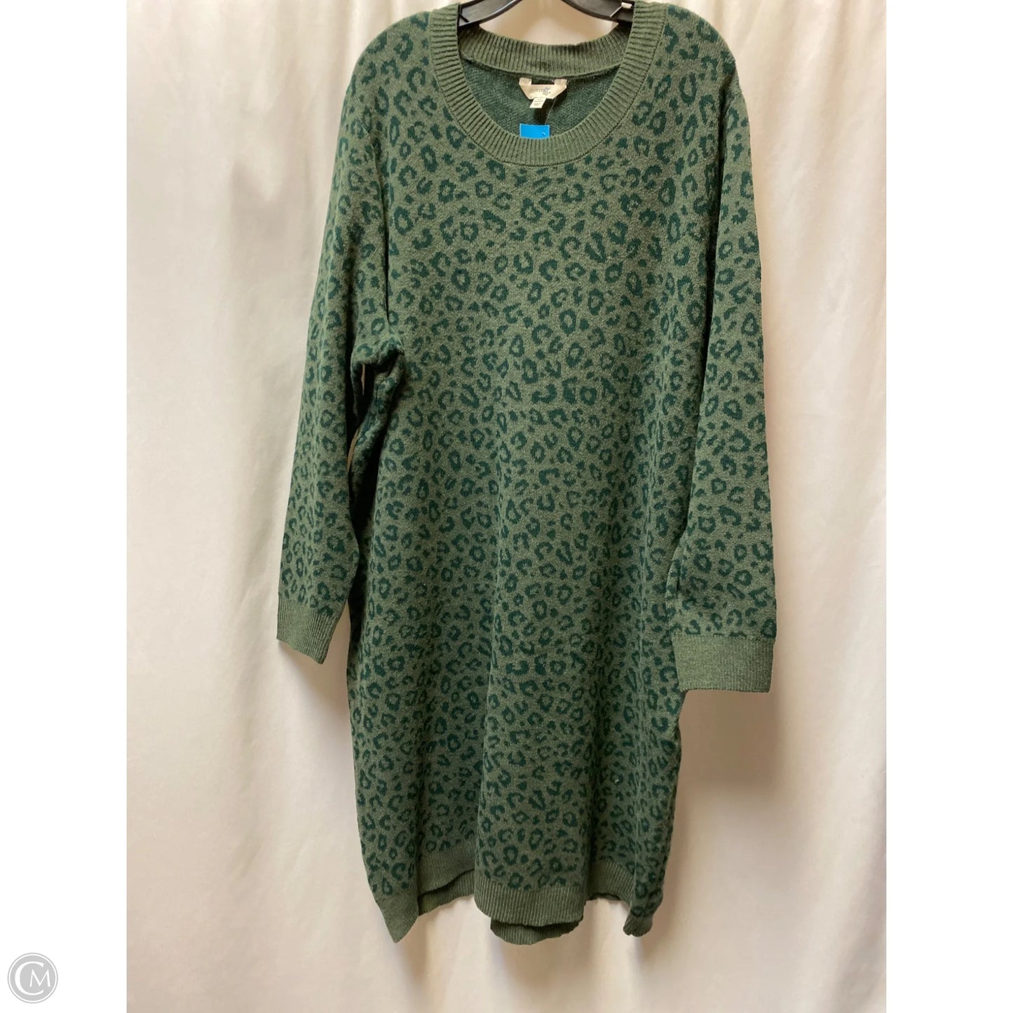 Dress Sweater By Terra & Sky In Green, Size: 2x