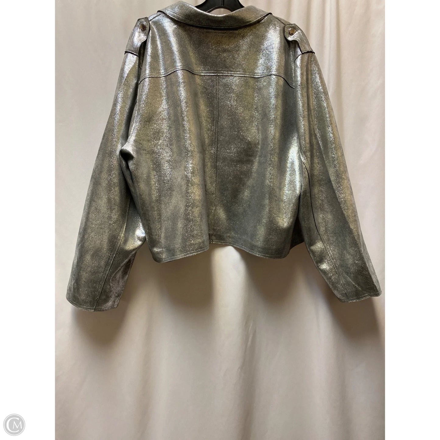 Jacket Other By Cato In Silver, Size: 3x
