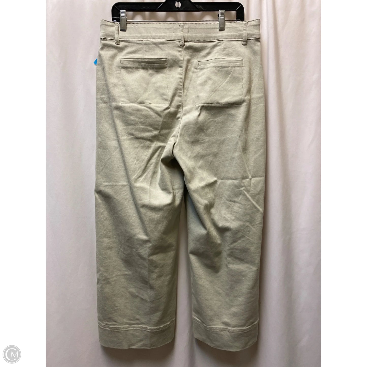 Pants Other By Clothes Mentor In Tan, Size: 12