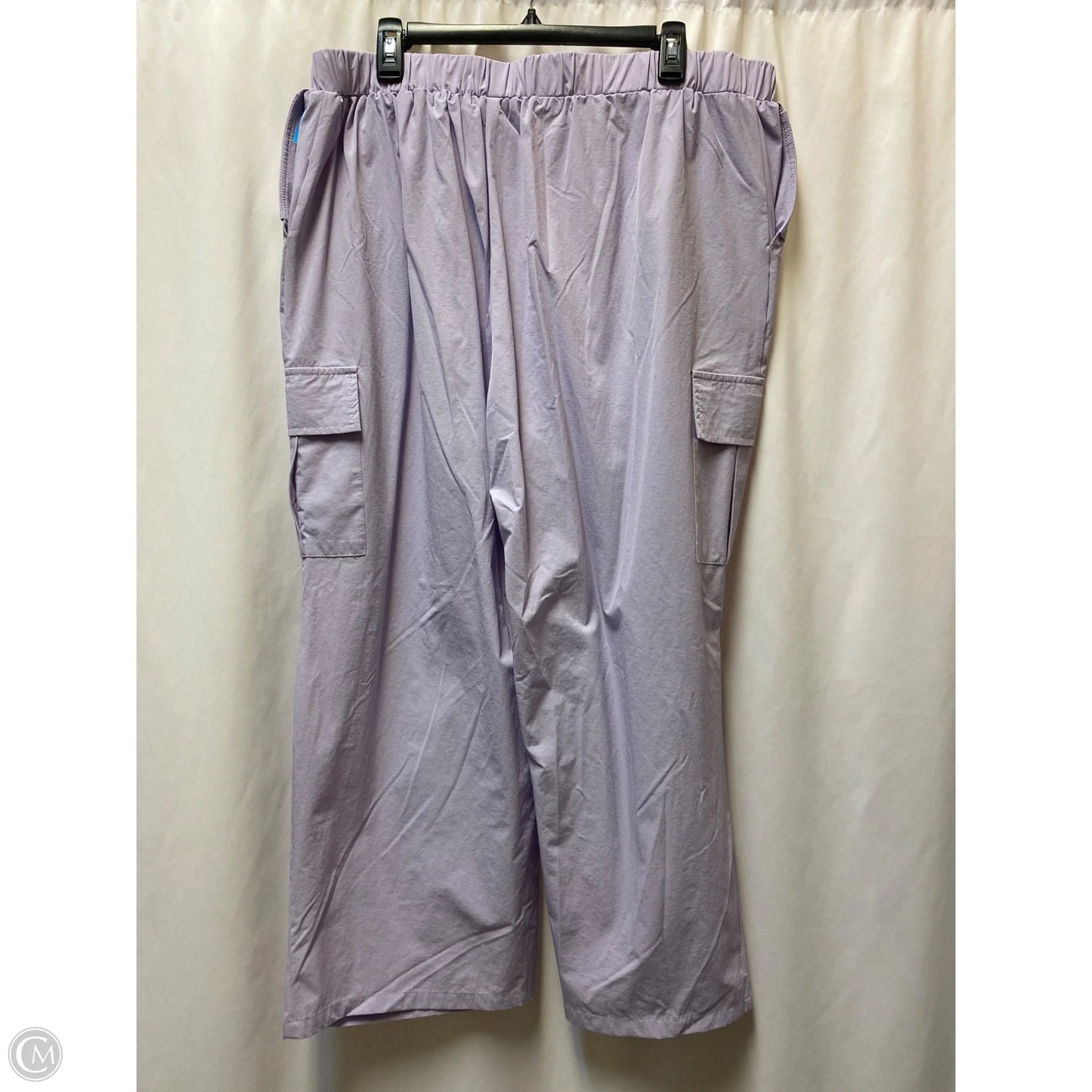 Pants Cargo & Utility By Clothes Mentor In Purple, Size: 4x