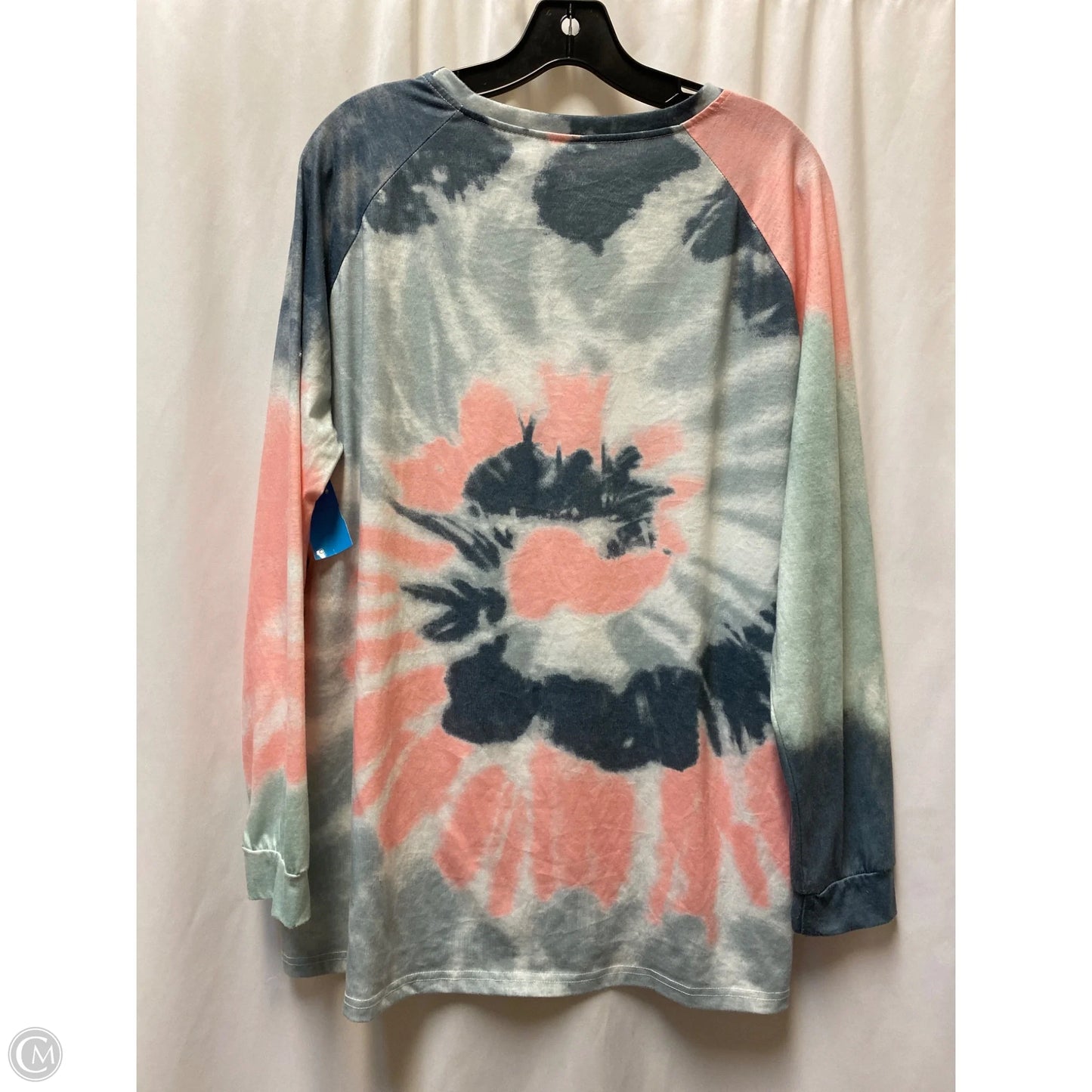 Top Long Sleeve By Clothes Mentor In Blue, Size: 2x