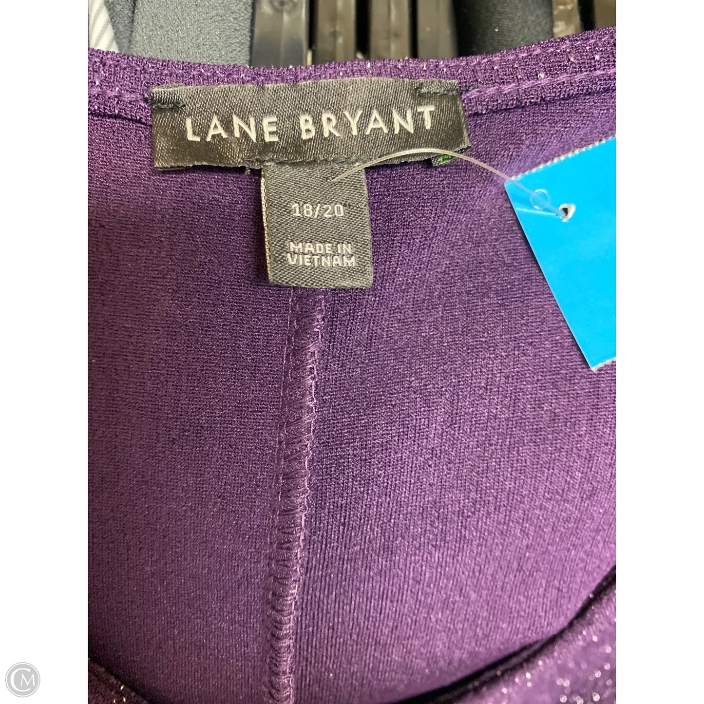 Top Long Sleeve By Lane Bryant In Purple, Size: 1x