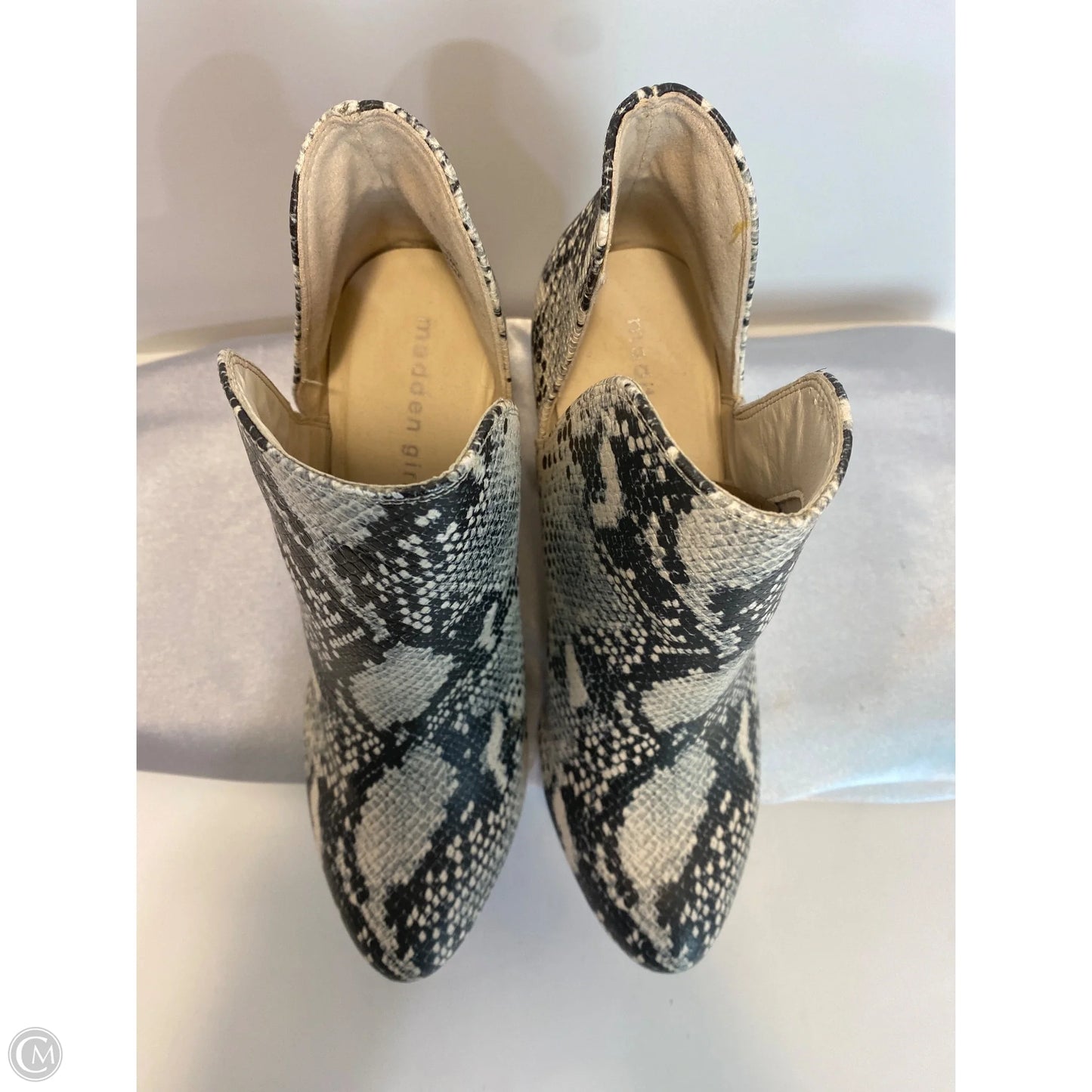 Shoes Heels Block By Madden Girl In Animal Print, Size: 8.5