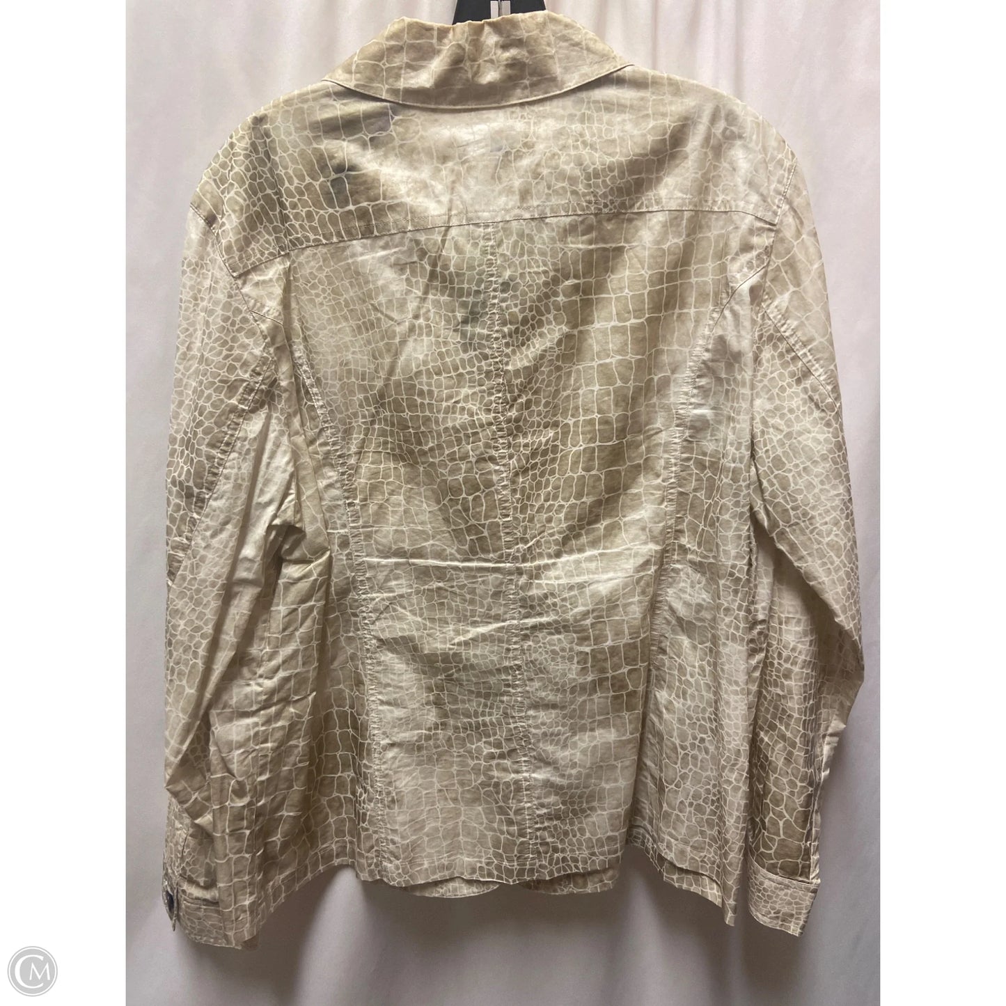 Top Long Sleeve By Chicos In Tan, Size: 3x