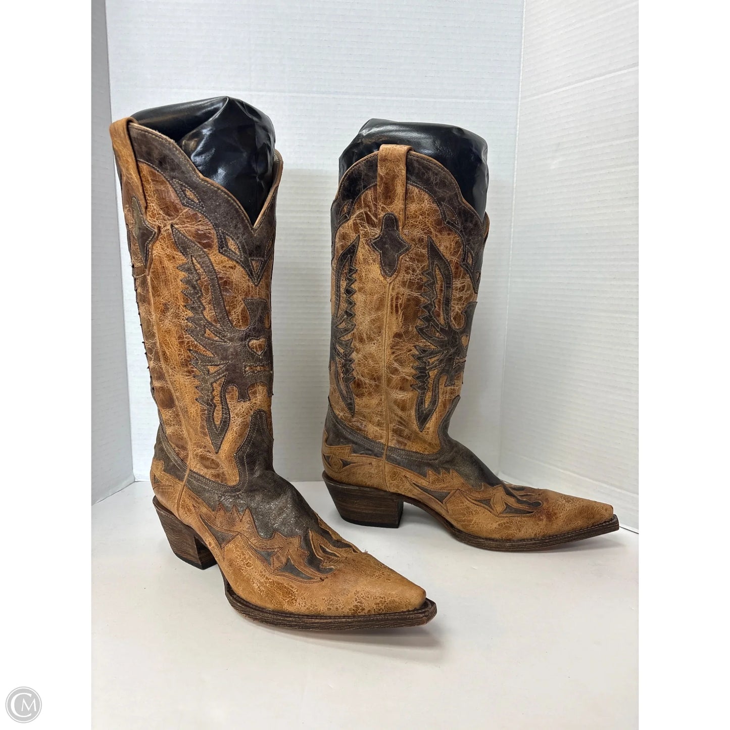 Boots Western By Steve Madden In Tan, Size: 10
