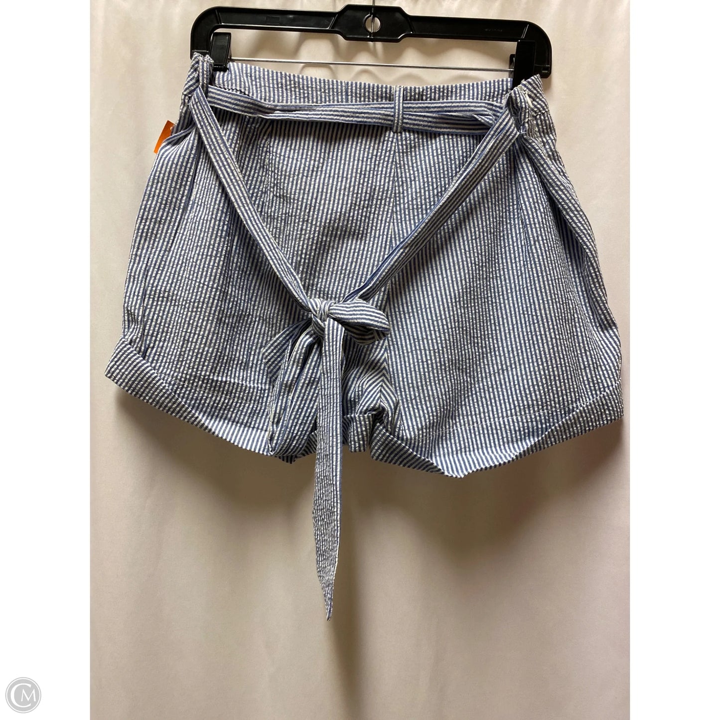 Shorts By Clothes Mentor In Blue, Size: 12