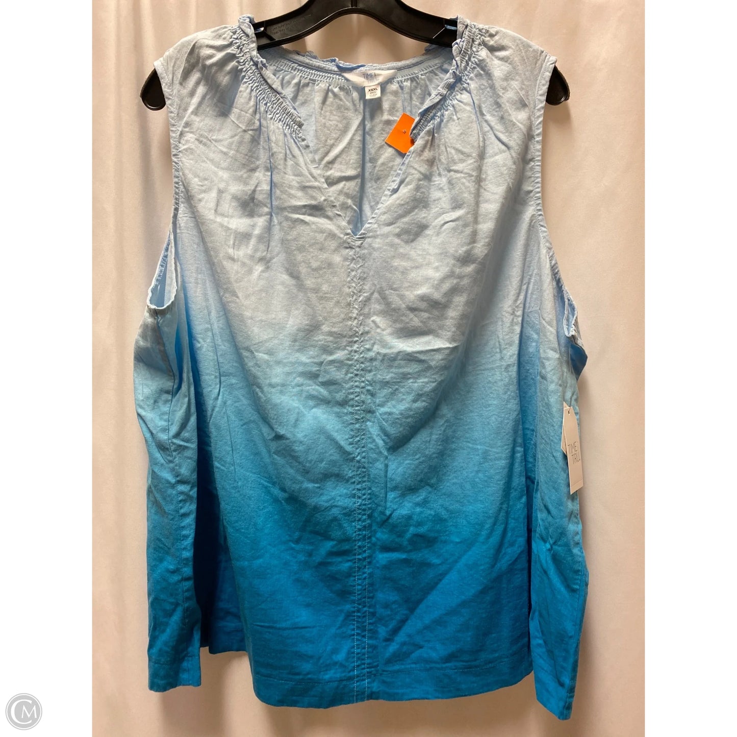 Top Sleeveless By Time And Tru In Blue, Size: 3x