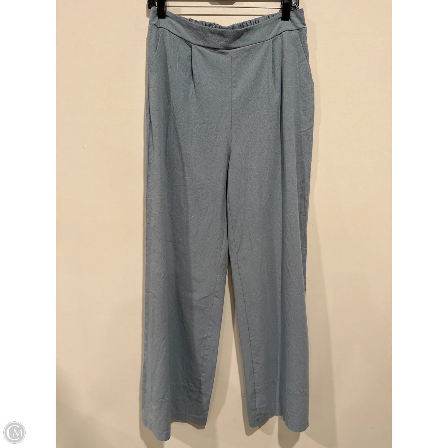 Pants Set 2pc By Clothes Mentor In Blue, Size: L