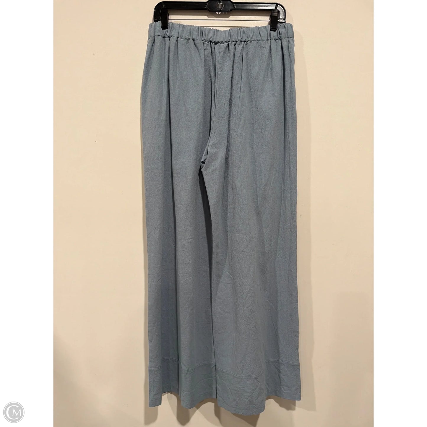 Pants Set 2pc By Clothes Mentor In Blue, Size: L