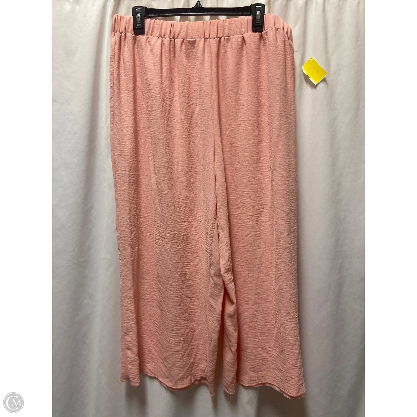 Pants Set 2pc By Shein In Pink, Size: 2x