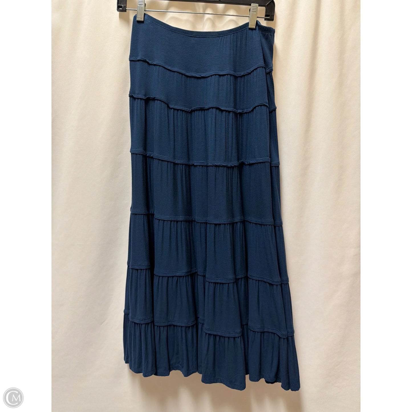 Skirt Maxi By Style And Company In Navy, Size: M