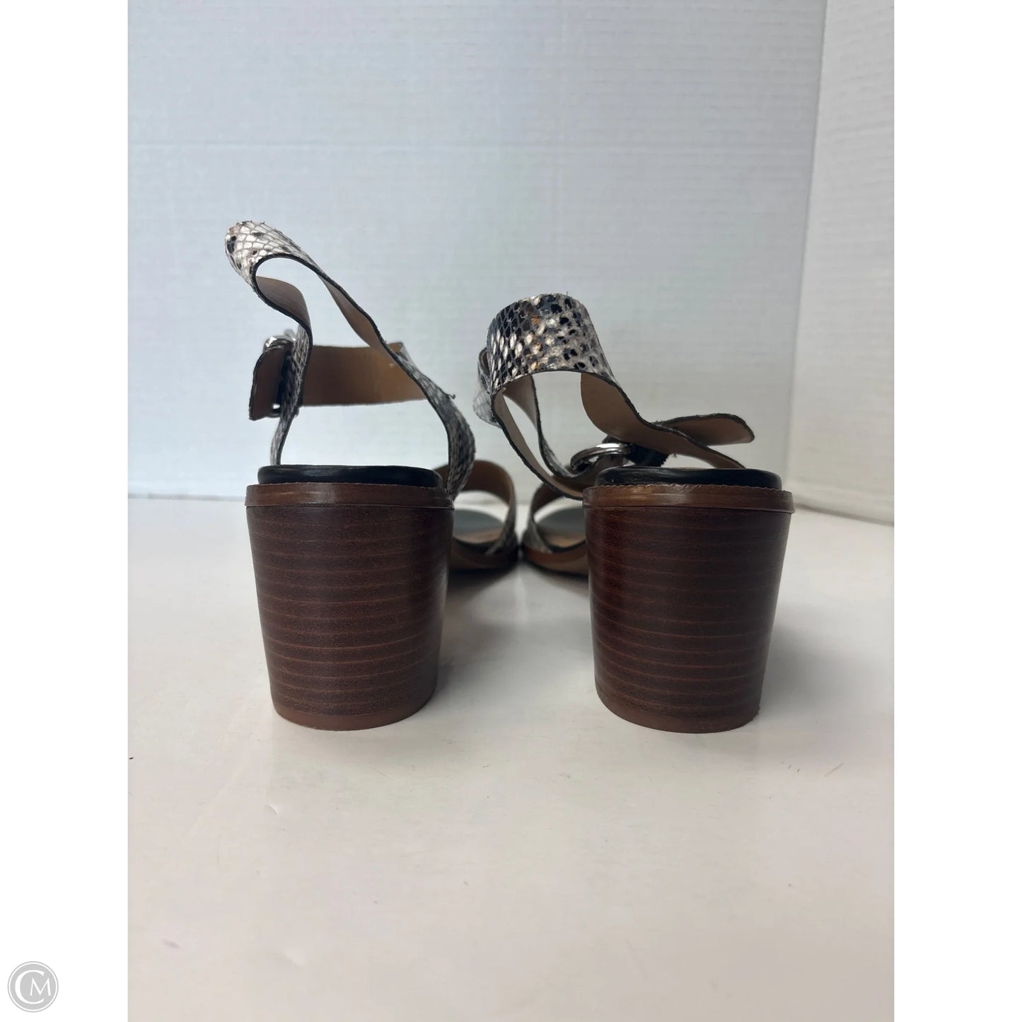 Shoes Heels Block By Franco Sarto In Animal Print, Size: 9