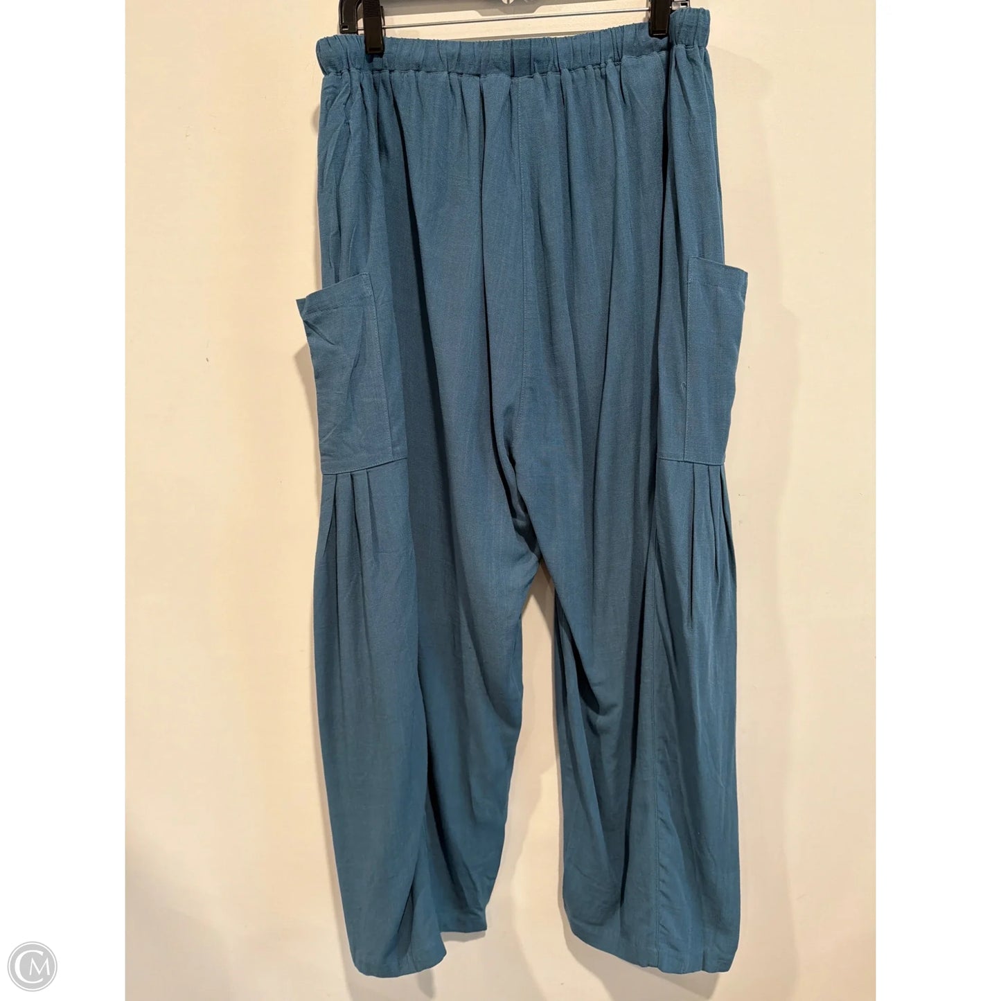 Pants Other By Clothes Mentor In Aqua, Size: Xl