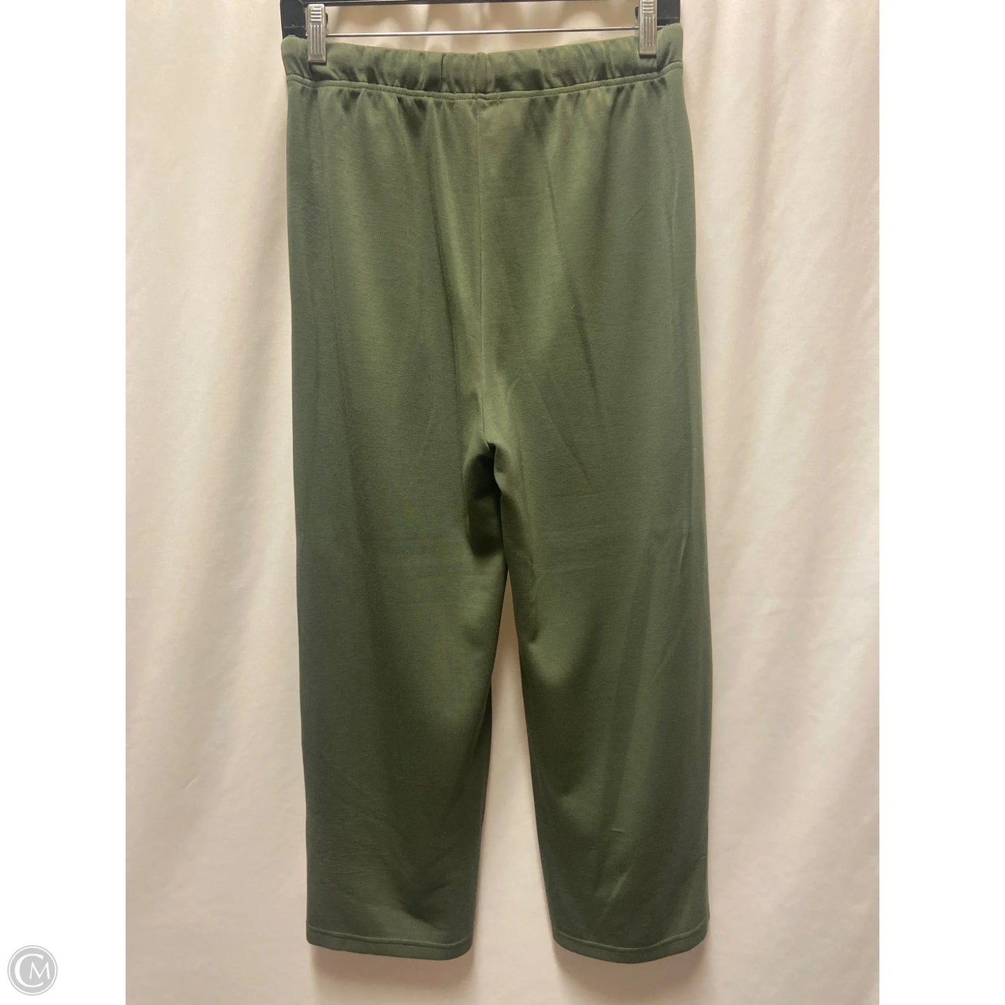 Pants Set 2pc By Clothes Mentor In Green, Size: M