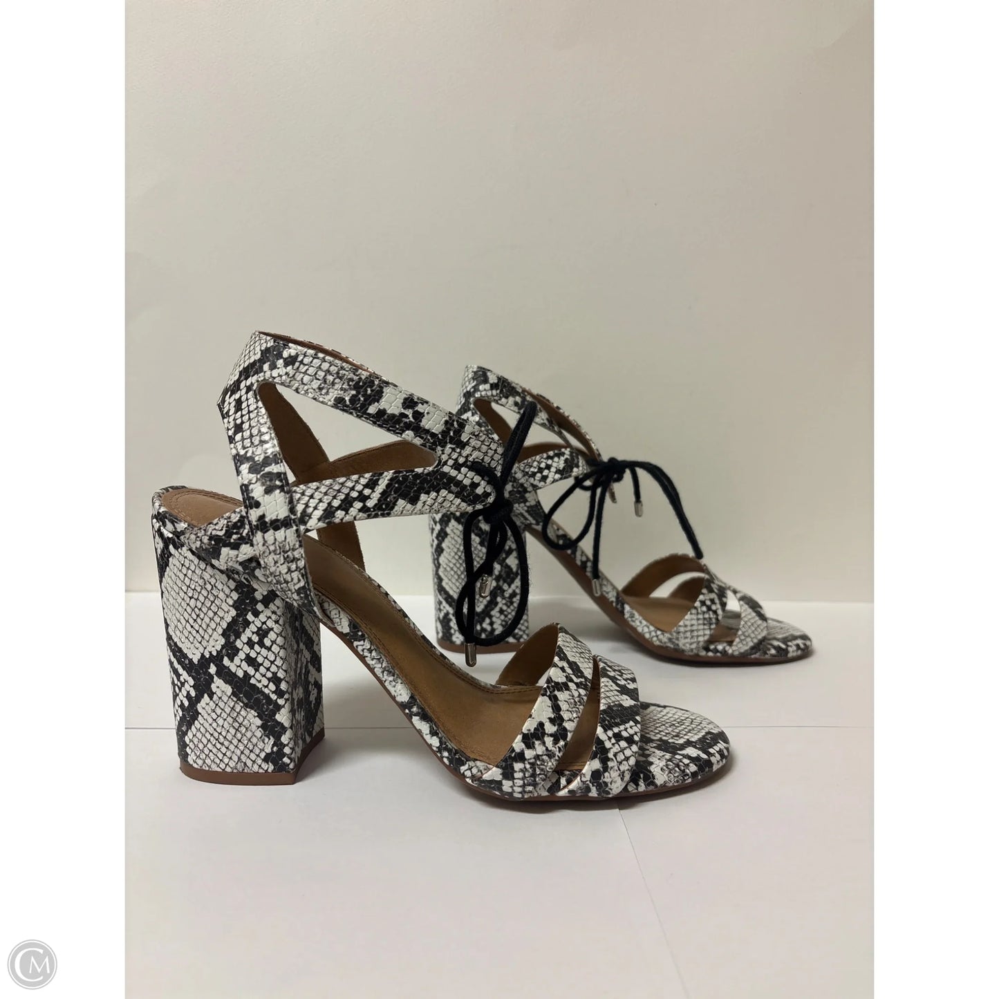 Shoes Heels Block By Gianni Bini In Animal Print, Size: 9