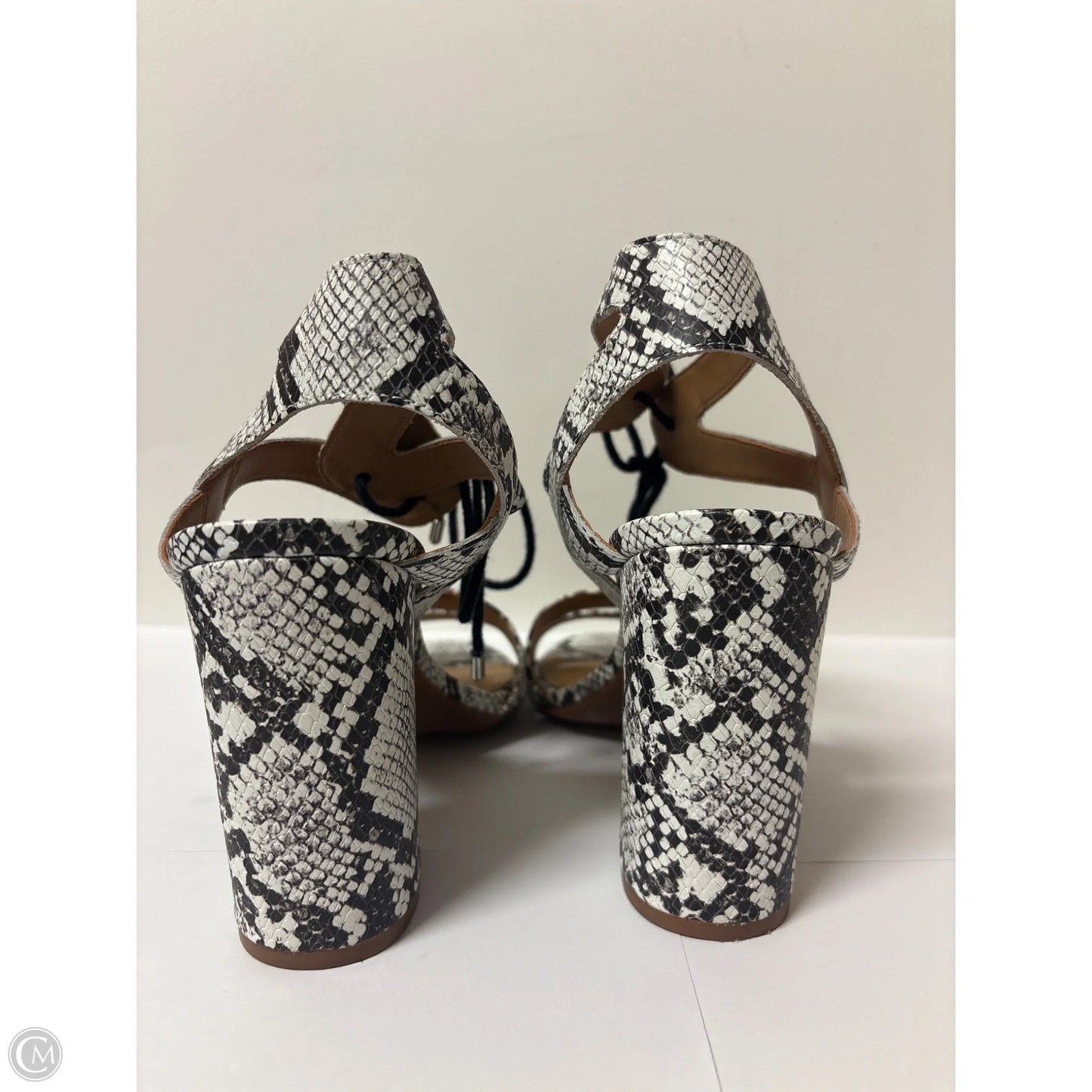 Shoes Heels Block By Gianni Bini In Animal Print, Size: 9