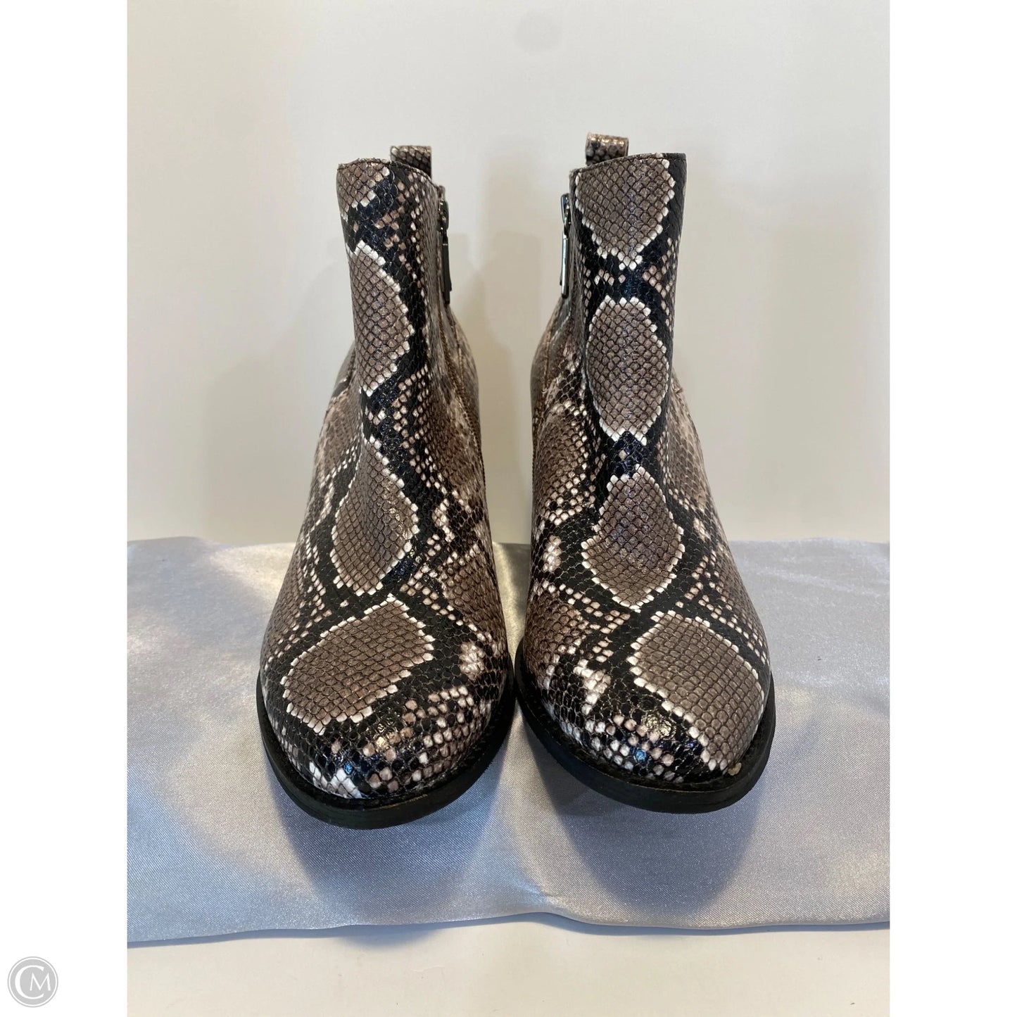 Shoes Heels Block By Blondo In Snakeskin Print, Size: 11