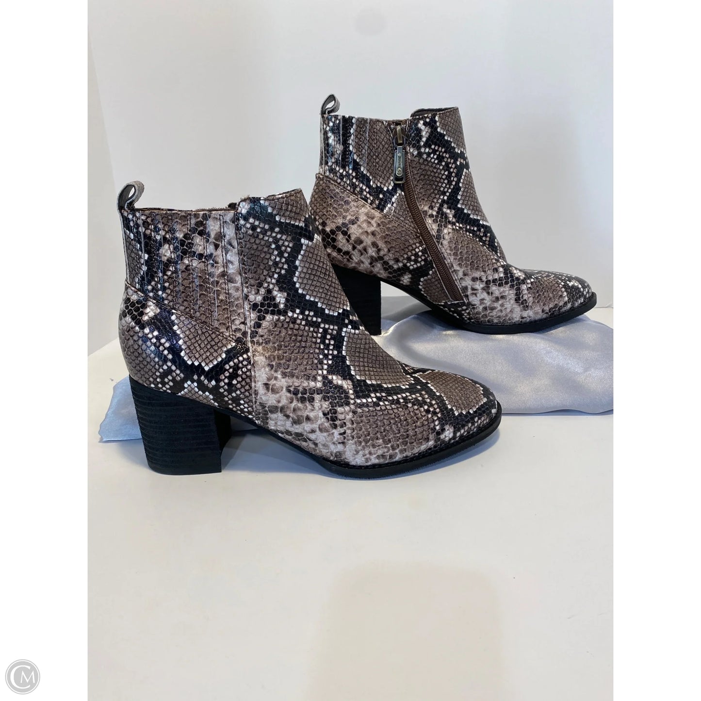 Shoes Heels Block By Blondo In Snakeskin Print, Size: 11