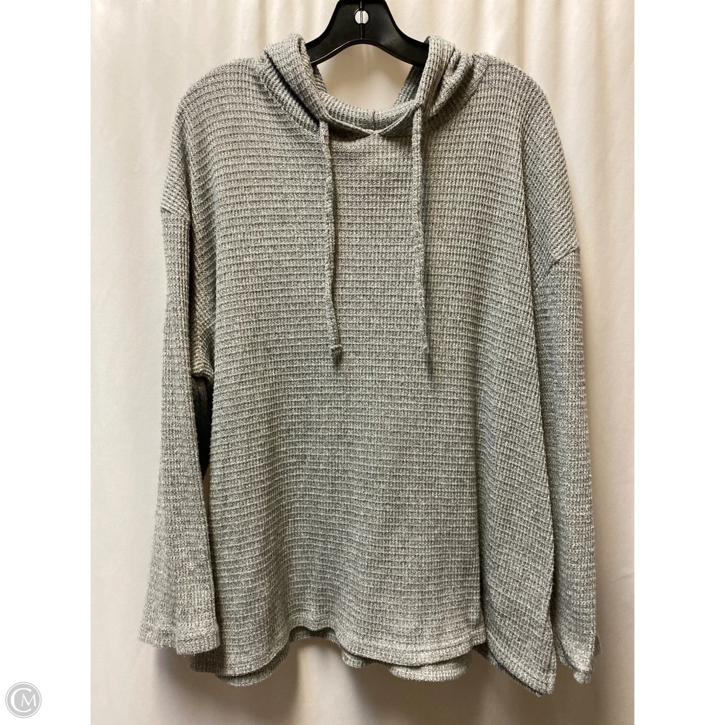 Sweatshirt Hoodie By Serra In Grey, Size: Xl
