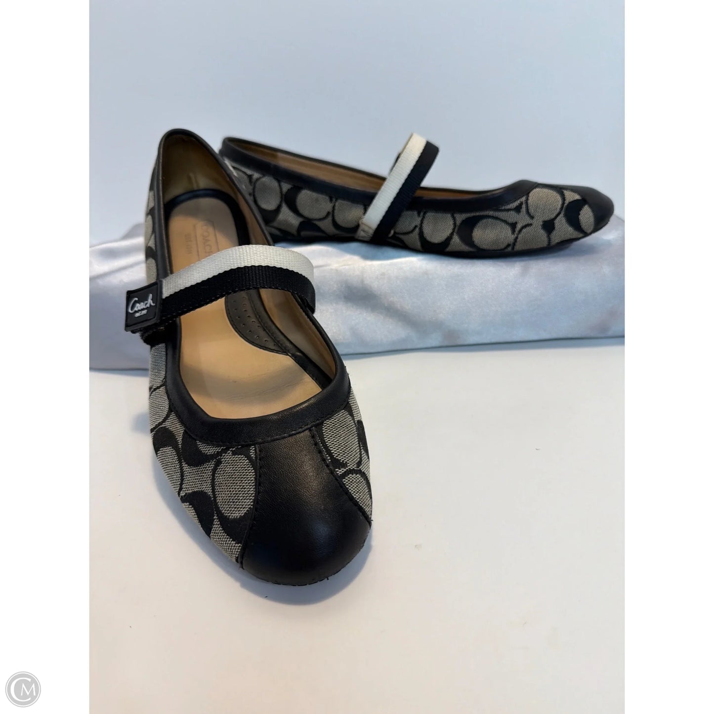 Shoes Designer By Coach In Brown, Size: 9