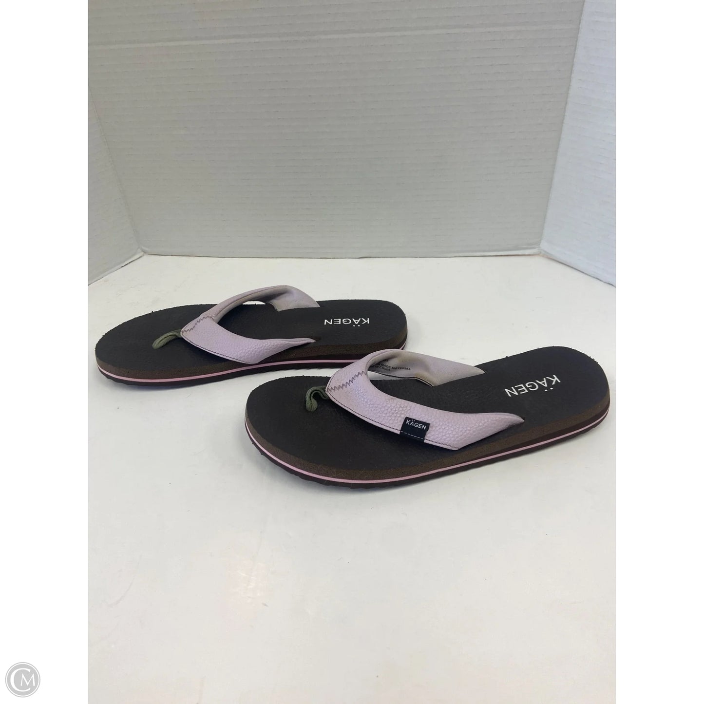 Sandals Flip Flops By Clothes Mentor In Purple, Size: 9