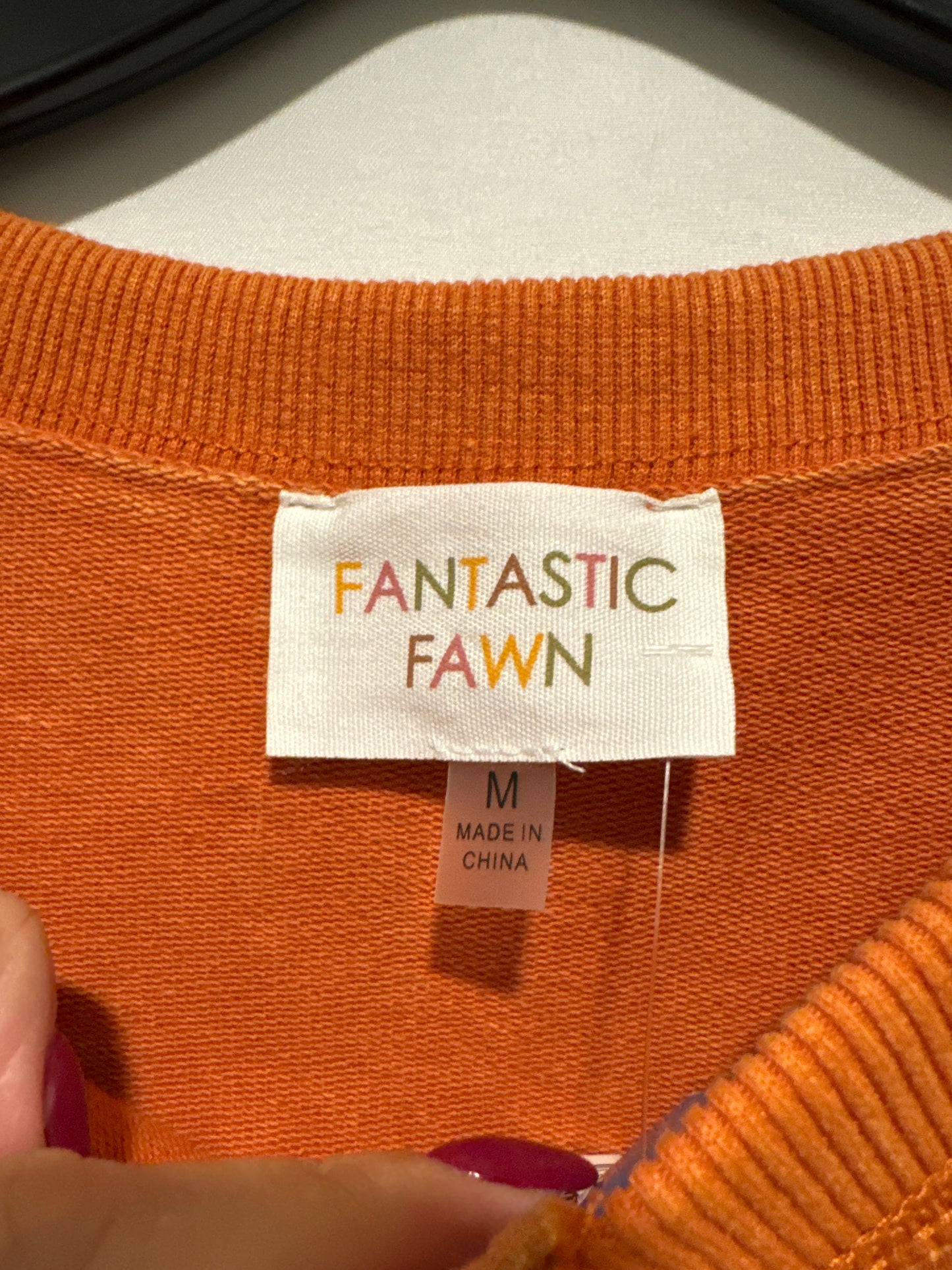 Top Long Sleeve By Fantastic Fawn In Orange, Size: M