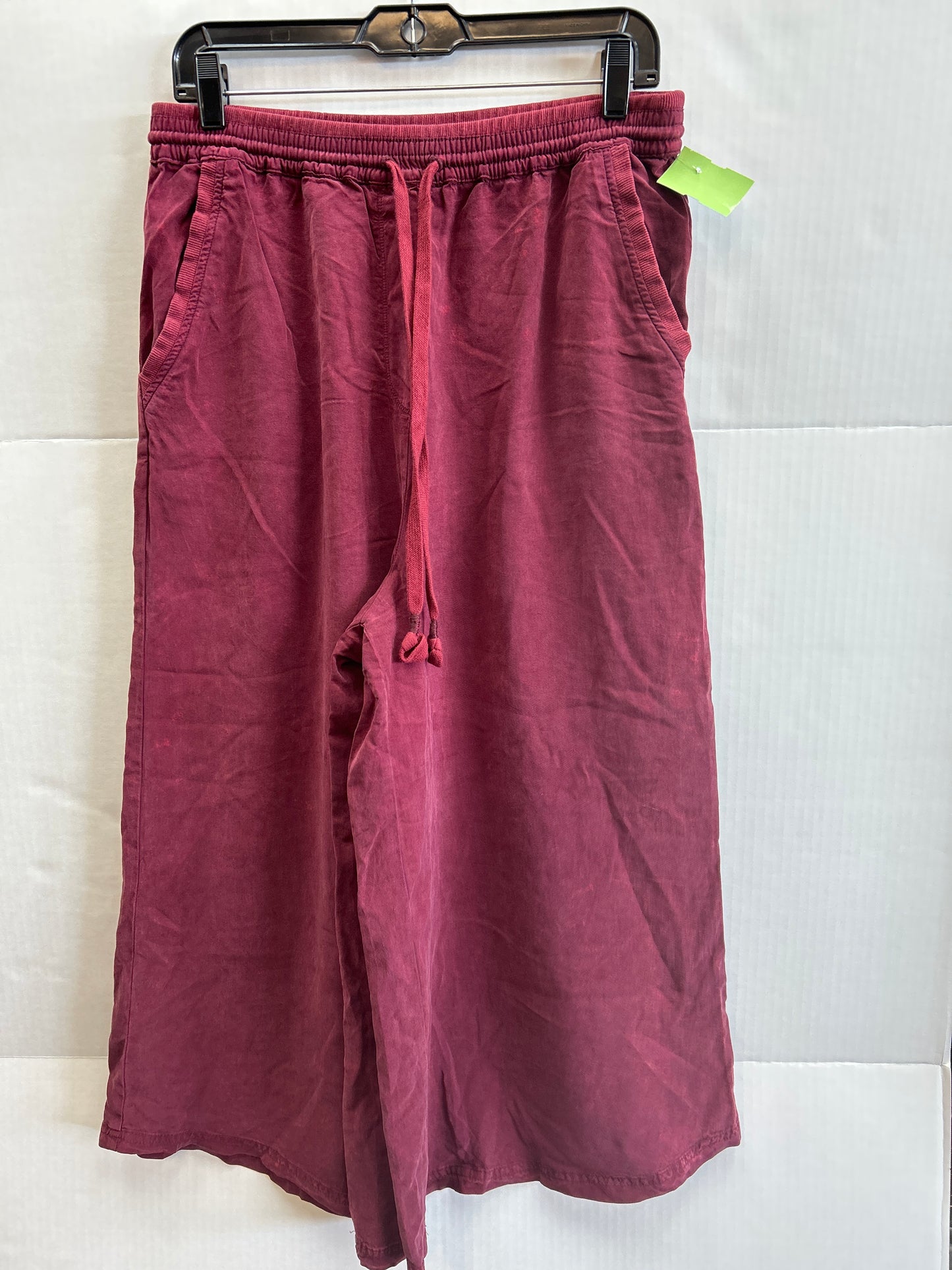 Pants Wide Leg By Saturday/sunday  Size: M