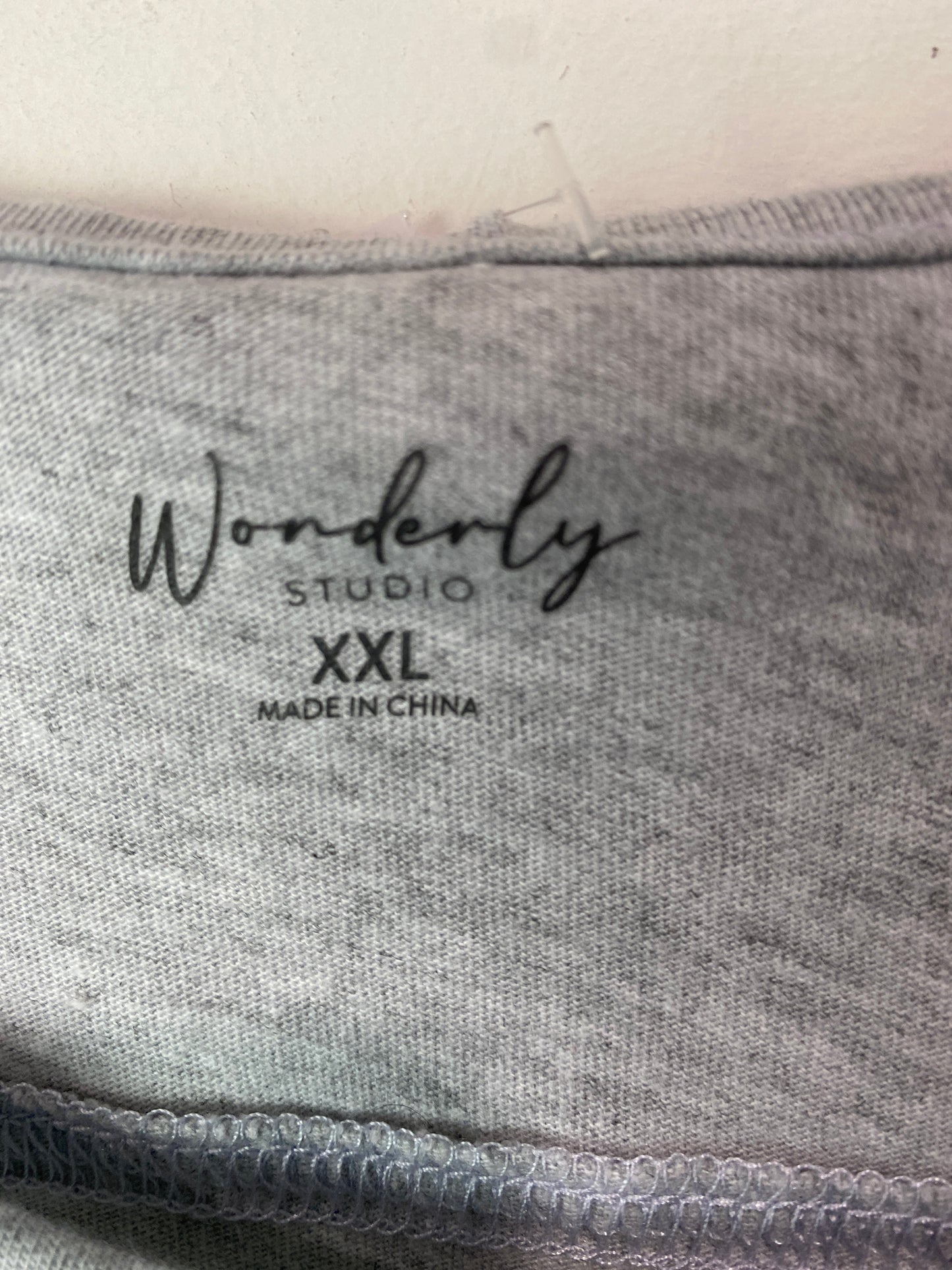 Top Long Sleeve By Wonderly In Grey, Size: 2x