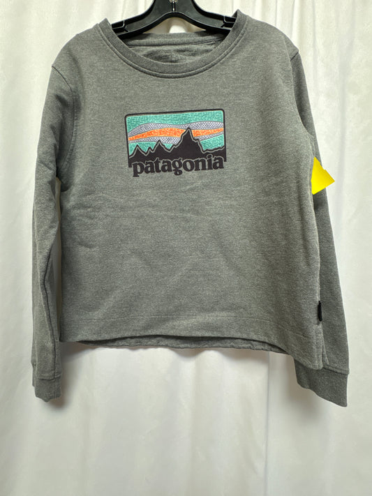 Sweatshirt Crewneck By Patagonia In Grey, Size: M