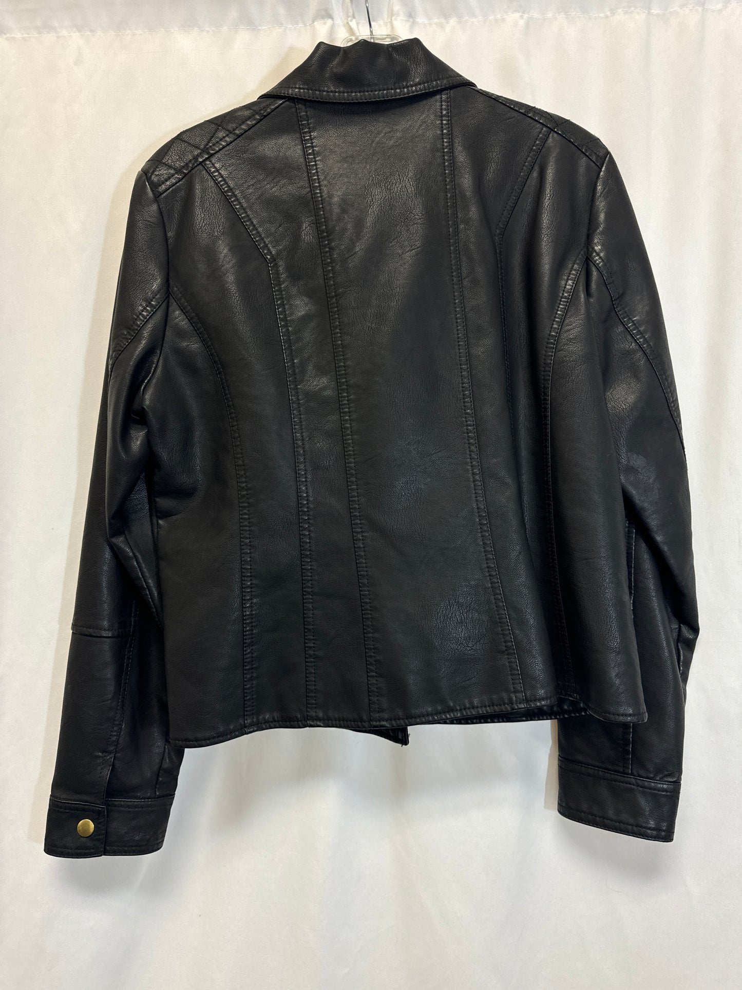 Jacket Moto By Baccini In Black, Size: L