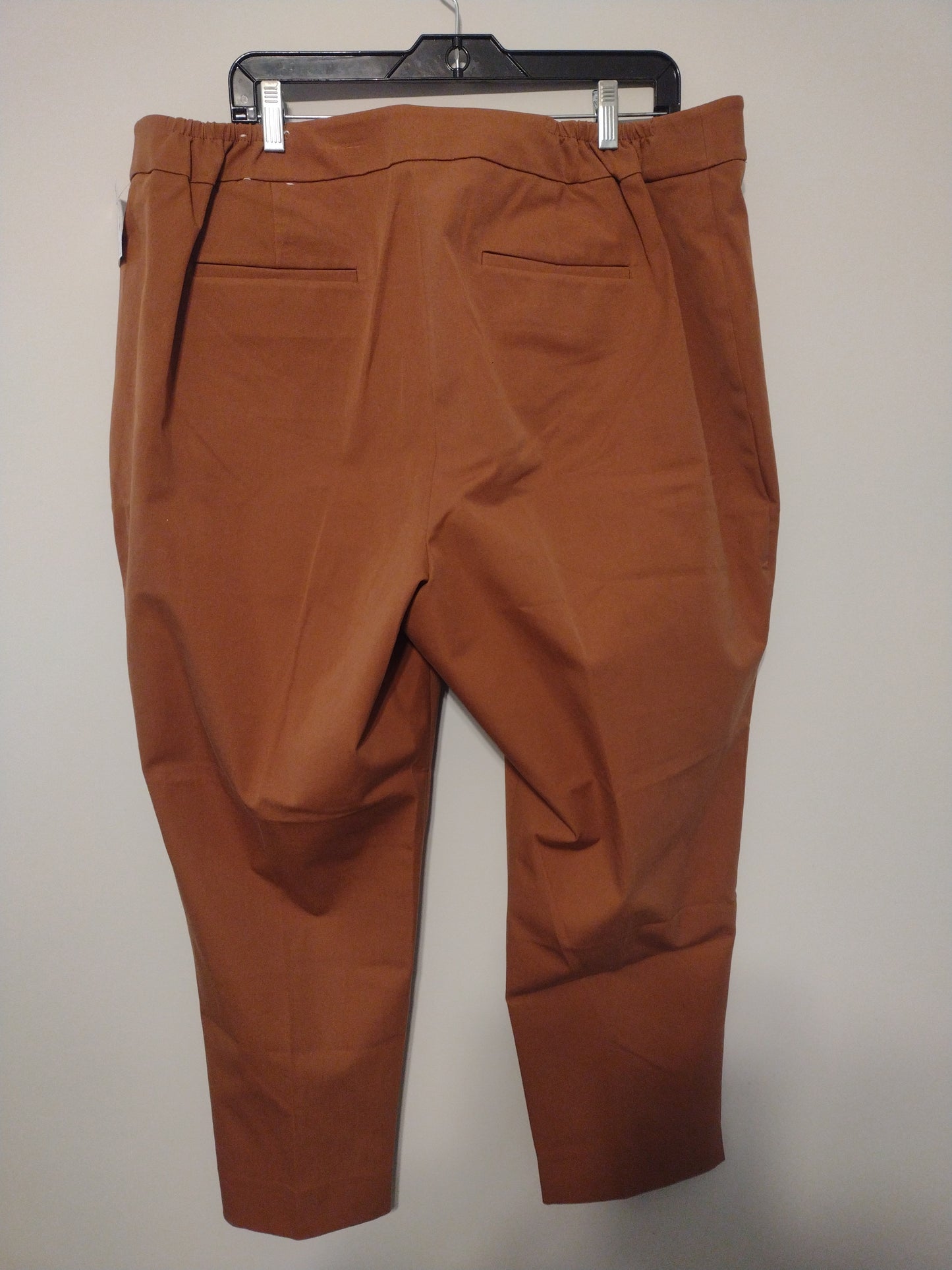 Pants Ankle By Talbots  Size: 20